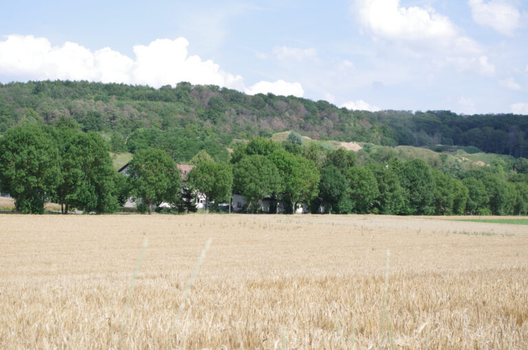 Waldbüttelbrunner Grüne lehnen Erweiterung des Muschelkalk-Abbaus bei Roßbrunn nach Westen strikt ab und kritisieren Landrat Eberth